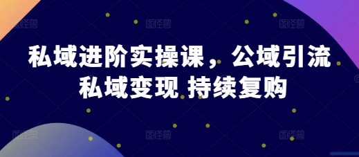 私域进阶实操课，公域引流 私域变现 持续复购-立业有术