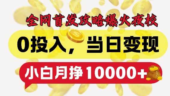 全网首发爆火夜校，0投入，当日变现，小白轻松月入1w+【揭秘】-立业有术