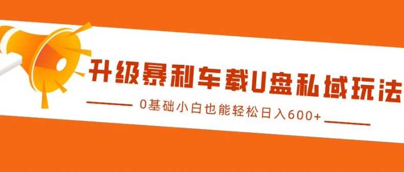 升级暴利车载U盘私域玩法，0基础小白也能轻松日入多张【揭秘】-立业有术