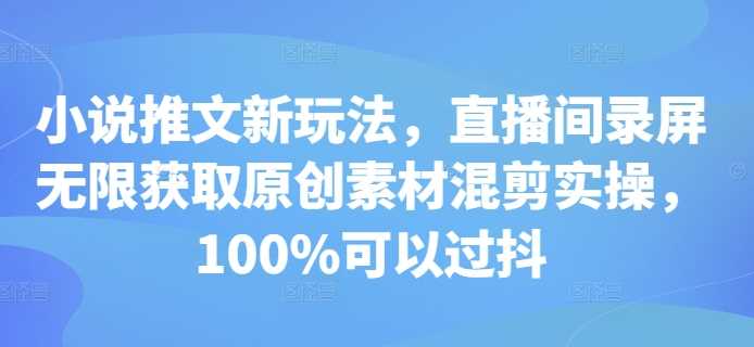 小说推文新玩法，直播间录屏无限获取原创素材混剪实操，100%可以过抖-立业有术