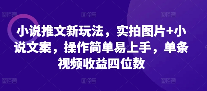 小说推文新玩法，实拍图片+小说文案，操作简单易上手，单条视频收益四位数-立业有术