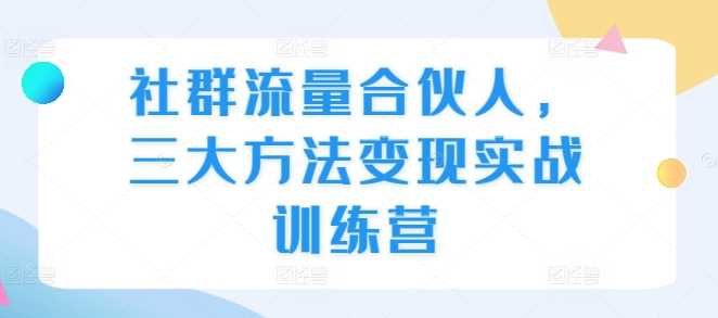 社群流量合伙人，三大方法变现实战训练营-立业有术