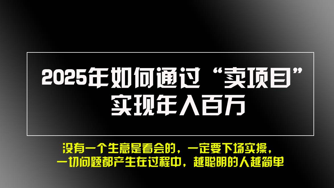 （13468期）2025年如何通过“卖项目”实现年入百万，做网赚必看！！-立业有术