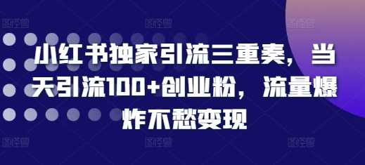 小红书独家引流三重奏，当天引流100+创业粉，流量爆炸不愁变现【揭秘】-立业有术