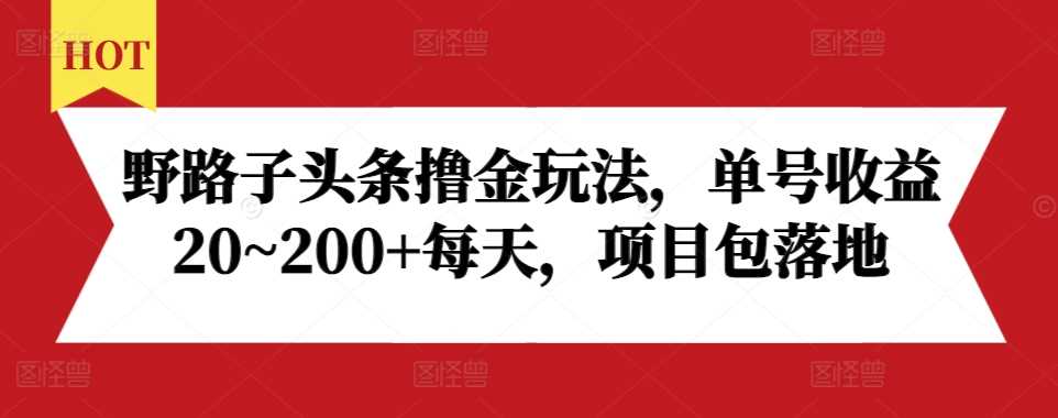 野路子头条撸金玩法，单号收益20~200+每天，项目包落地-立业有术