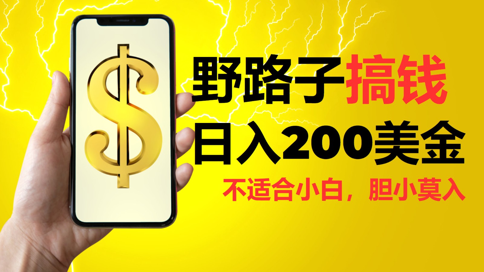 挂机野路子搞钱，日入200美金，路子很野，小白莫入-立业有术