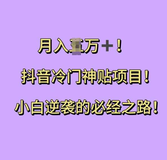 抖音冷门神贴项目，小白逆袭的必经之路，月入过W【揭秘】-立业有术