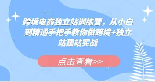 跨境电商独立站训练营，从小白到精通手把手教你做跨境+独立站建站实战-立业有术