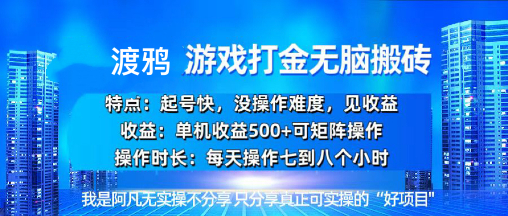 （13501期）韩国知名游戏打金无脑搬砖单机收益500+-立业有术