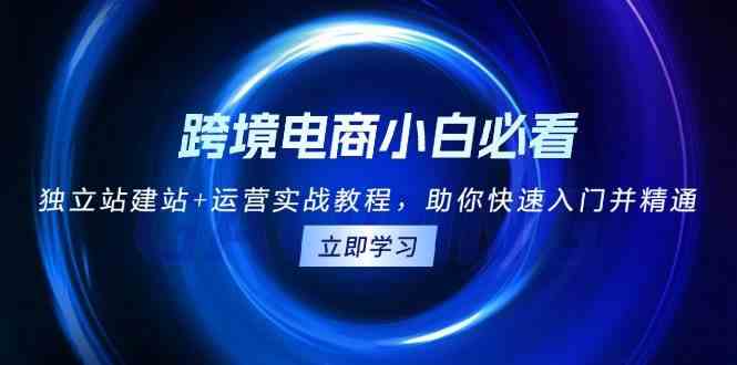 跨境电商小白必看！独立站建站+运营实战教程，助你快速入门并精通-立业有术