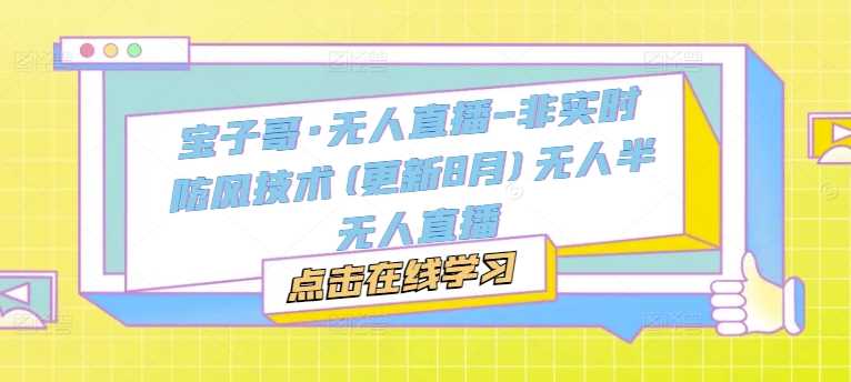 宝子哥·无人直播-非实时防风技术(更新11月)无人半无人直播-立业有术