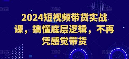 2024短视频带货实战课，搞懂底层逻辑，不再凭感觉带货-立业有术