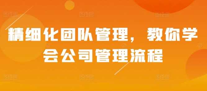 精细化团队管理，教你学会公司管理流程-立业有术