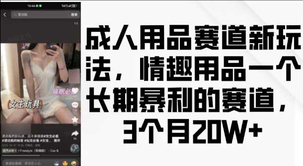 成人用品赛道新玩法，情趣用品一个长期暴利的赛道，3个月收益20个【揭秘】-立业有术