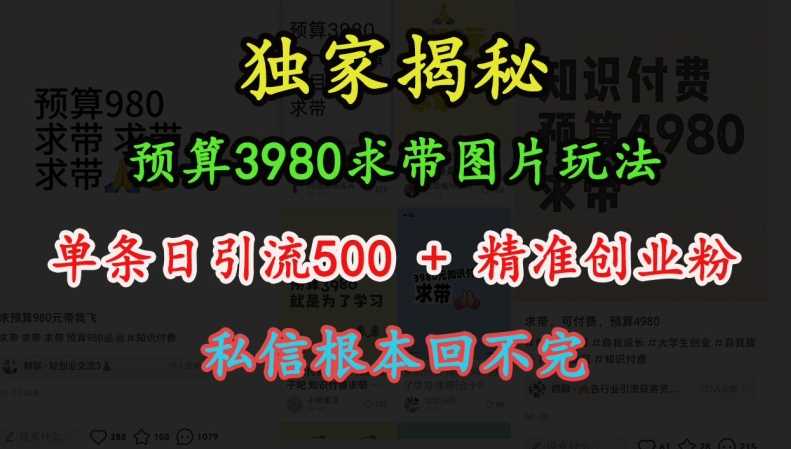 预算3980求带 图片玩法，单条日引流500+精准创业粉，私信根本回不完-立业有术