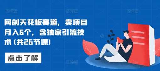网创天花板赛道，卖项目月入6个，含独家引流技术(共26节课)-立业有术
