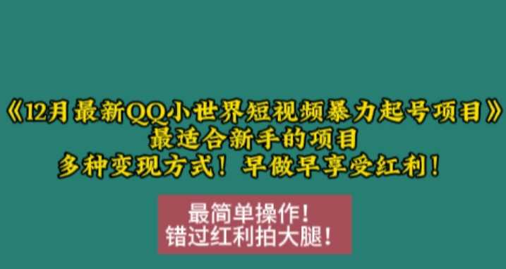 12月最新QQ小世界短视频暴力起号项目，最适合新手的项目，多种变现方式-立业有术