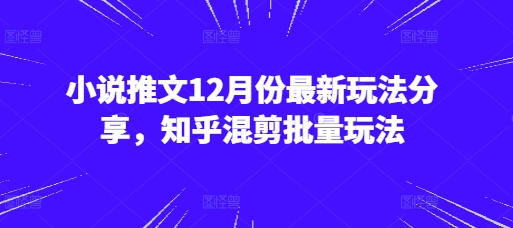 小说推文12月份最新玩法分享，知乎混剪批量玩法-立业有术