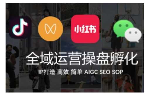 全域运营操盘(抖音+私域+小红书)，IP打造高效简单-立业有术