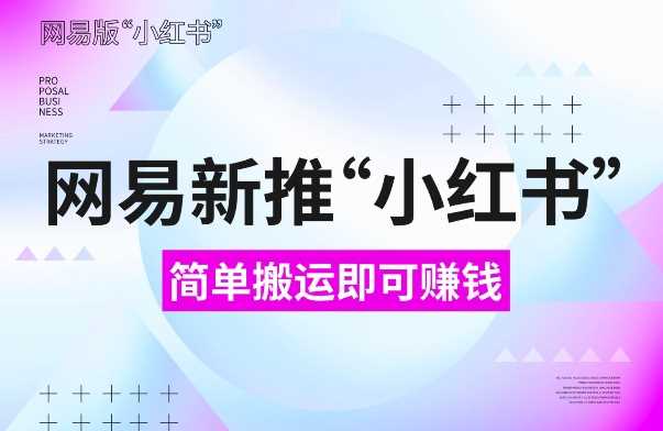 网易官方新推“小红书”，搬运即有收益，新手小白千万别错过(附详细教程)【揭秘】-立业有术