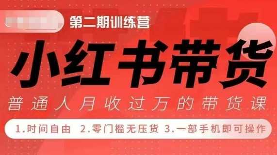 小Red书带货42天训练营 2.0版，宝妈+自由职+上班族+大学生，提高副业收入的大红利项目-立业有术