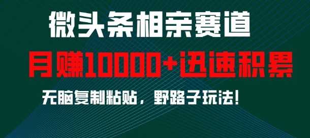 微头条相亲赛道，迅速积累，无脑复制粘贴，野路子玩法，月入1w-立业有术