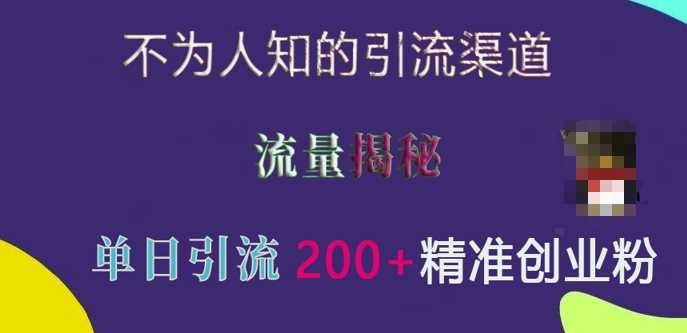 不为人知的引流渠道，流量揭秘，实测单日引流200+精准创业粉【揭秘】-立业有术