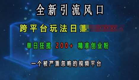 全新引流风口，跨平台玩法日入上k，单日狂揽200+精准创业粉，一个被严重忽略的视频平台-立业有术