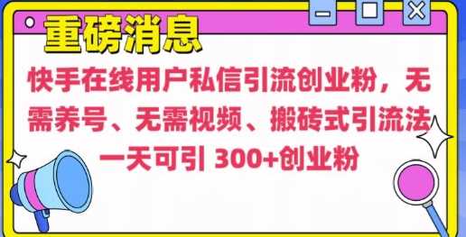 快手最新引流创业粉方法，无需养号、无需视频、搬砖式引流法【揭秘】-立业有术