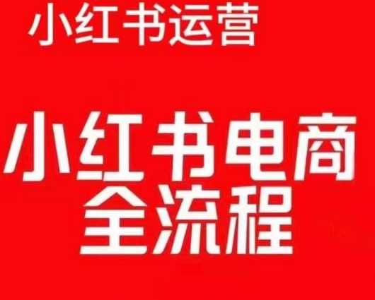 红薯电商实操课，小红书电商全流程-立业有术