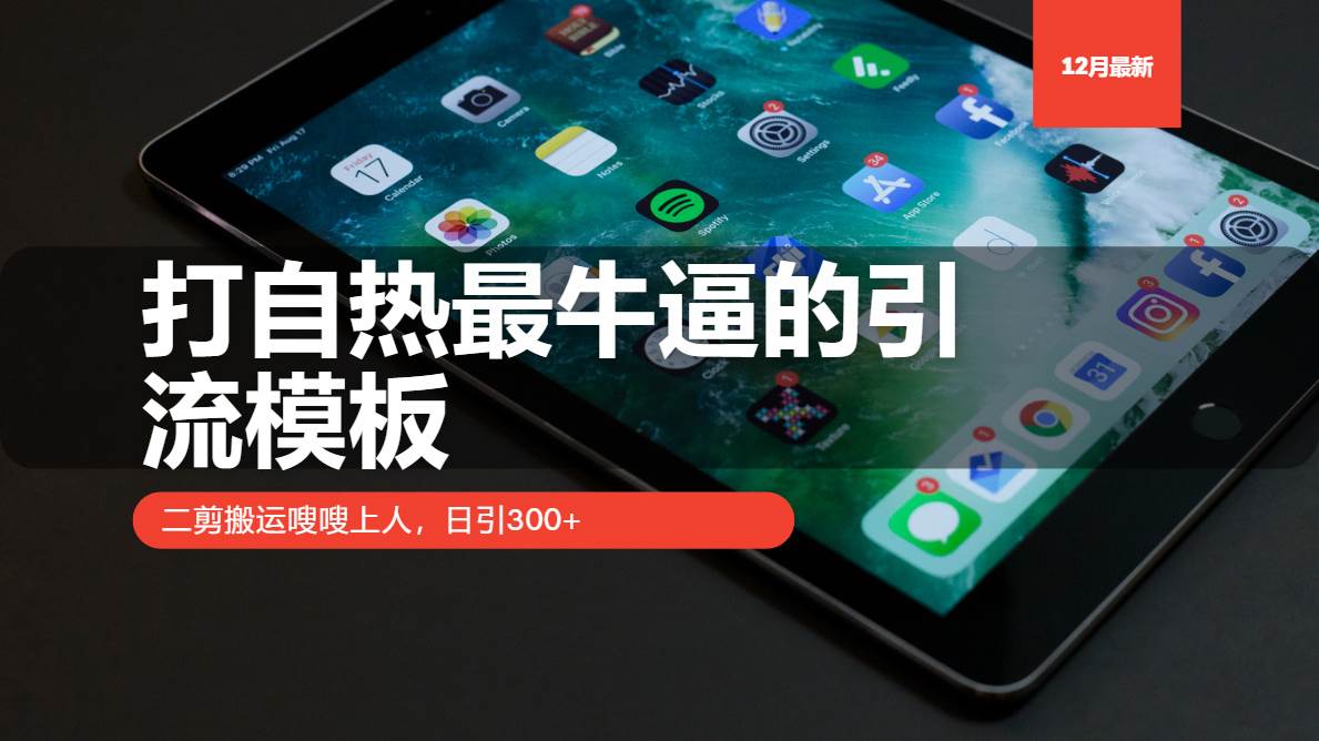 （13654期）打自热最牛逼的引流模板，二剪搬运嗖嗖上人，日引300+-立业有术
