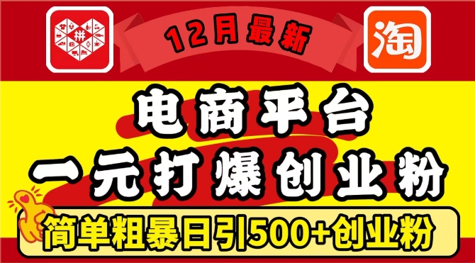 12月最新：电商平台1元打爆创业粉，简单粗暴日引500+精准创业粉，轻松月入过W【揭秘】-立业有术