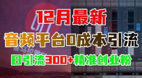 12月最新：音频平台0成本引流，日引流300+精准创业粉-立业有术