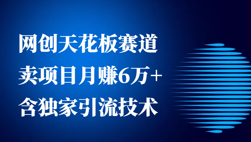 网创天花板赛道，卖项目月赚6万+，含独家引流技术（共26节课）-立业有术