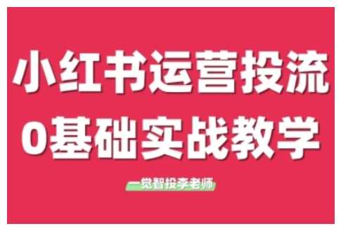 小红书运营投流，小红书广告投放从0到1的实战课，学完即可开始投放-立业有术