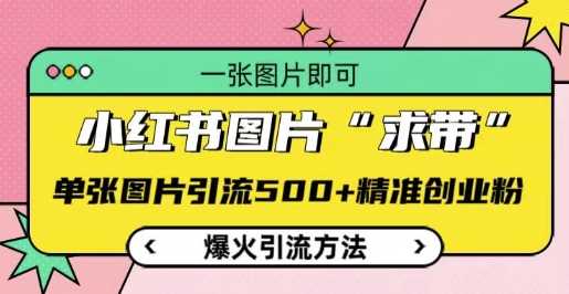 小红书图片‘求带’爆火引流法，单张图片引流500+精准创业粉【揭秘】-立业有术