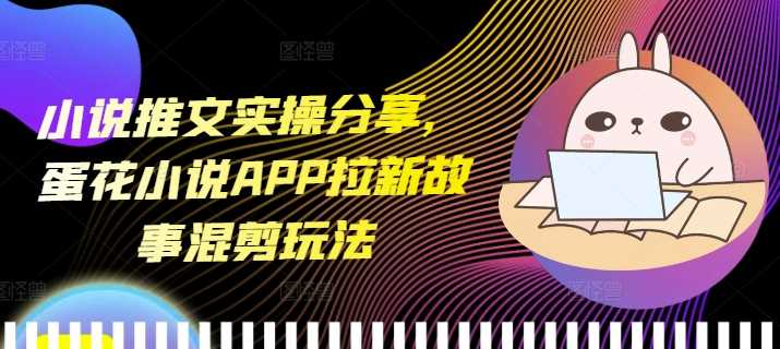 小说推文实操分享，蛋花小说APP拉新故事混剪玩法-立业有术