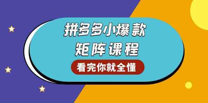 拼多多爆款矩阵课程：教你测出店铺爆款，优化销量，提升GMV，打造爆款群-立业有术