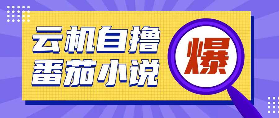 首发云手机自撸小说玩法，10块钱成本可撸200+收益操作简单【揭秘】-立业有术