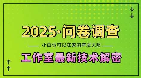 2025问卷调查最新工作室技术解密：一个人在家也可以闷声发大财，小白一天2张，可矩阵放大【揭秘】-立业有术