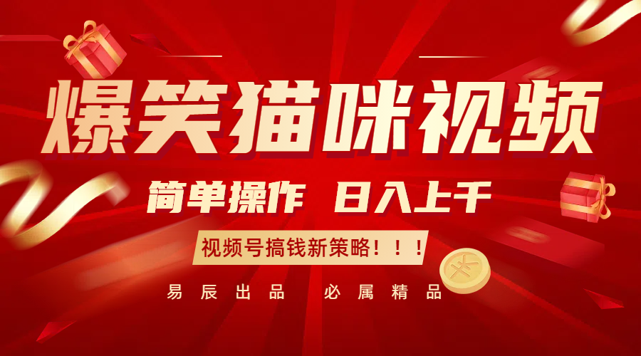爆笑猫咪视频：简单操作，日入过千，视频号搞钱新策略！-立业有术