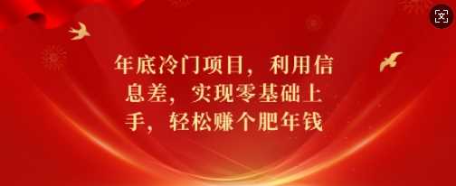 年底冷门项目，利用信息差，实现零基础上手，轻松赚个肥年钱【揭秘】-立业有术