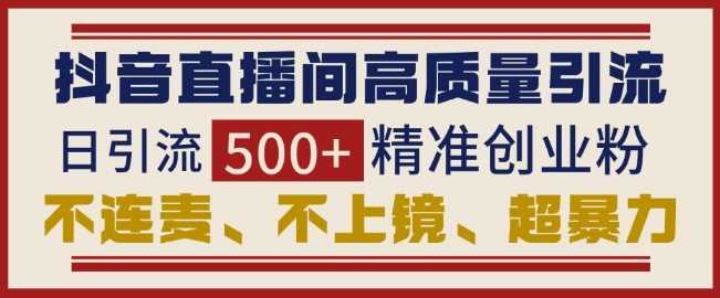 抖音直播间引流创业粉，无需连麦、不用上镜、超暴力，日引流500+高质量精准创业粉-立业有术