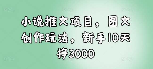 小说推文项目，图文创作玩法，新手10天挣3000-立业有术