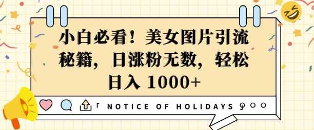 小白必看，美女图片引流秘籍，日涨粉无数，轻松日入几张【揭秘】-立业有术