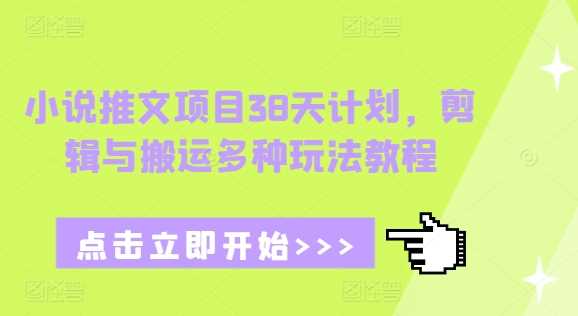 小说推文项目38天计划，剪辑与搬运多种玩法教程-立业有术