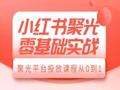 小红书聚光零基础实战，聚光平台投放课程从0到1-立业有术