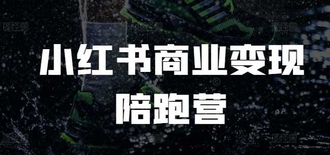小红书商业变现陪跑营，小红书电商教程-立业有术