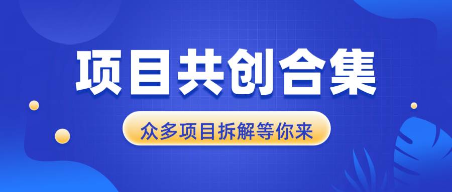 （13778期）项目共创合集，从0-1全过程拆解，让你迅速找到适合自已的项目-立业有术