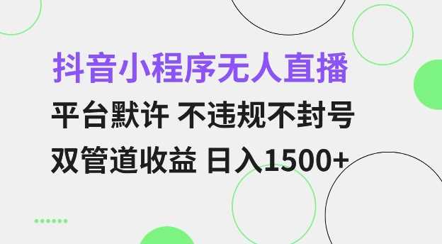 抖音小程序无人直播 平台默许 不违规不封号 双管道收益 日入多张 小白也能轻松操作【仅揭秘】-立业有术
